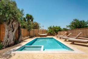 Avocado Villa Iason